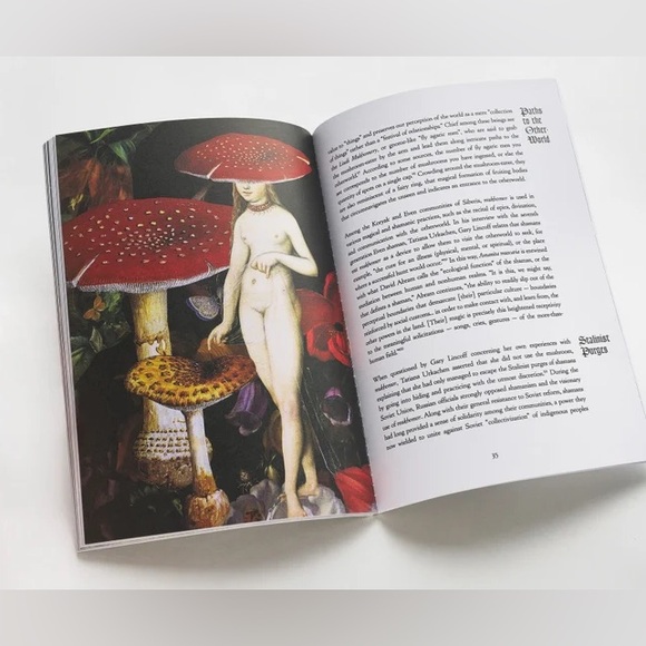 ✨🌿 The Invisible Harvest: A Microhistory of Heretical
Herbs ✨🌿 - Picture 4 of 7